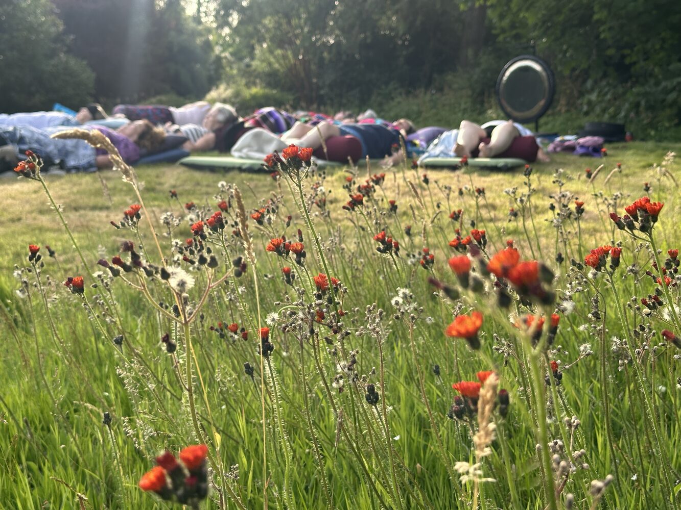 Wildflowers in the foreground of an outdoor sound bath gathering